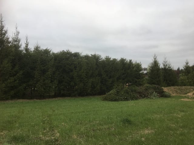 Medžių genėjimas